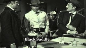 Black-Saddle